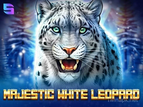 Majestic White Leopard